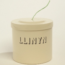 Llinyn Cream