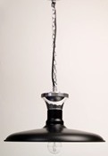 The Esme Pendant Light in Black